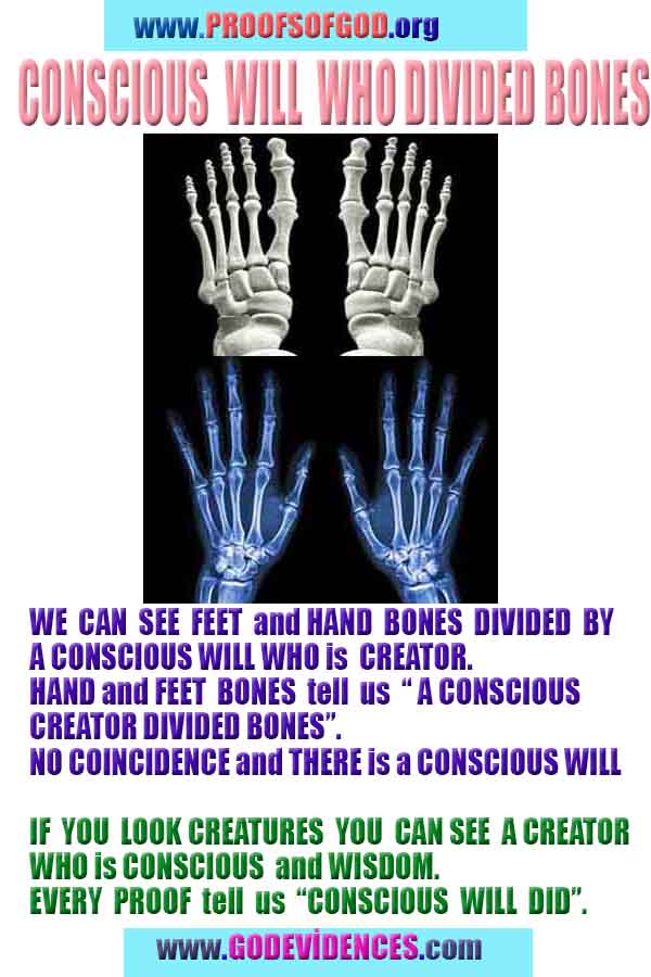 ALLAH, god is real, god exists here proofs, what are proofs of god?, what are evidences of god?, proofs of god, evidences of god, signs of god, proofs-god, evidences-god, god-real