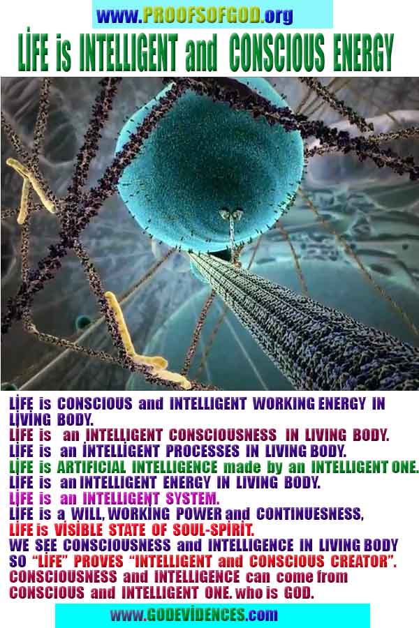 ALLAH, god is real, god exists here proofs, what are proofs of god?, what are evidences of god?, proofs of god, evidences of god, signs of god, proofs-god, evidences-god, god-real