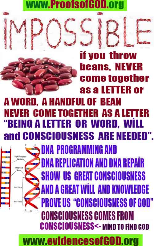 ALLAH, god is real, god exists here proofs, what are proofs of god?, what are evidences of god?, proofs of god, evidences of god, signs of god, proofs-god, evidences-god, god-real