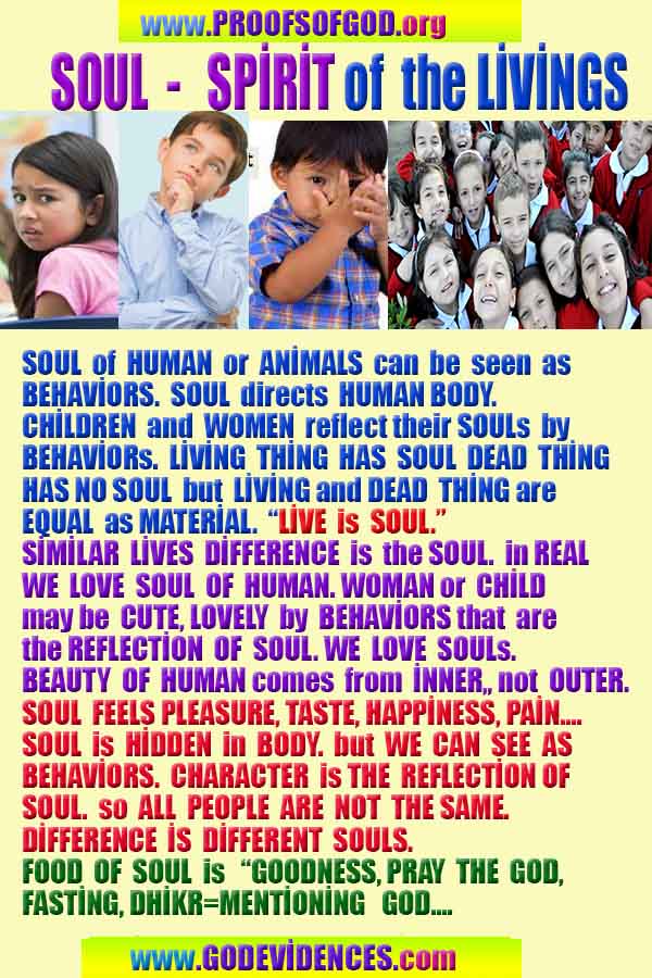 ALLAH, god is real, god exists here proofs, what are proofs of god?, what are evidences of god?, proofs of god, evidences of god, signs of god, proofs-god, evidences-god, god-real