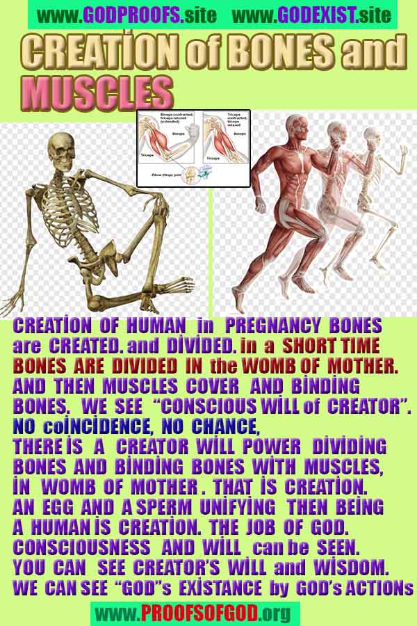 proofs of god, evidences of god, proofs-god, evidences-god, signs-god, signs of god, what are proofs of god?, god exists here proofs, god is real here proofs