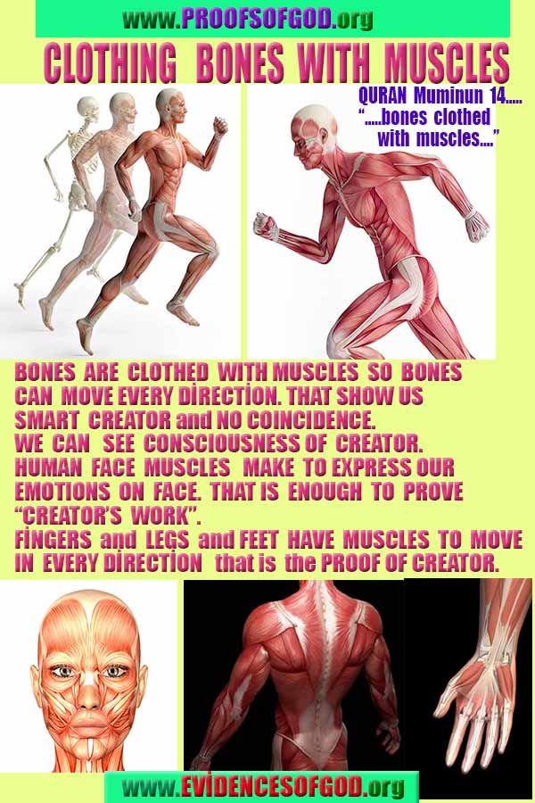 ALLAH, god is real, god exists here proofs, what are proofs of god?, what are evidences of god?, proofs of god, evidences of god, signs of god, proofs-god, evidences-god, god-real