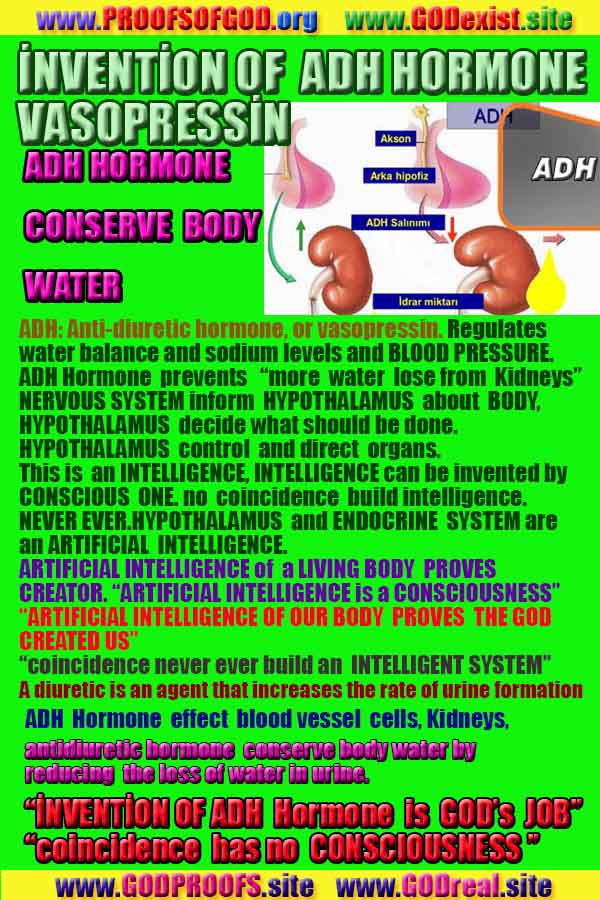 proofs of god, evidences of god, proofs-god, evidences-god, signs-god, signs of god, what are proofs of god?, god exists here proofs, god is real here proofs