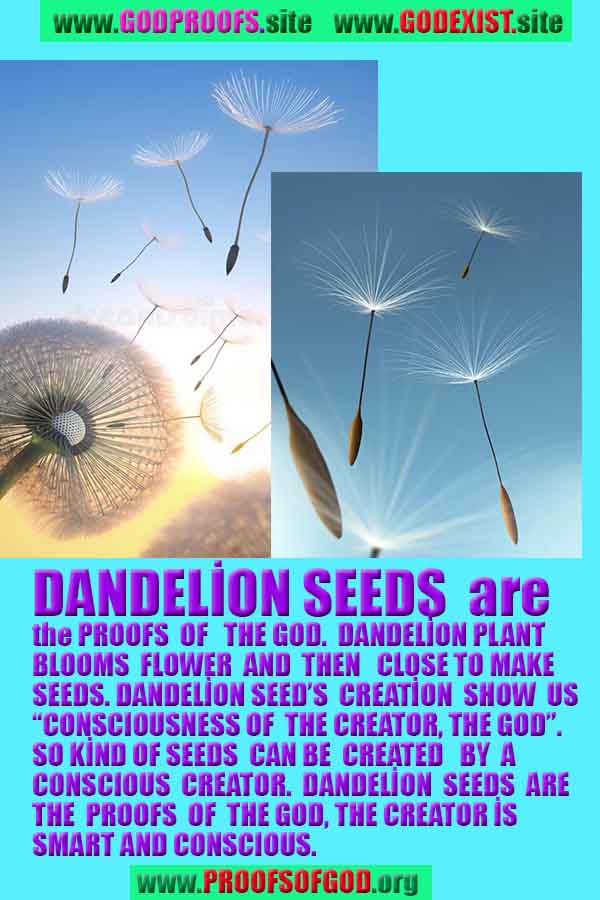 ALLAH, god is real, god exists here proofs, what are proofs of god?, what are evidences of god?, proofs of god, evidences of god, signs of god, proofs-god, evidences-god, god-real