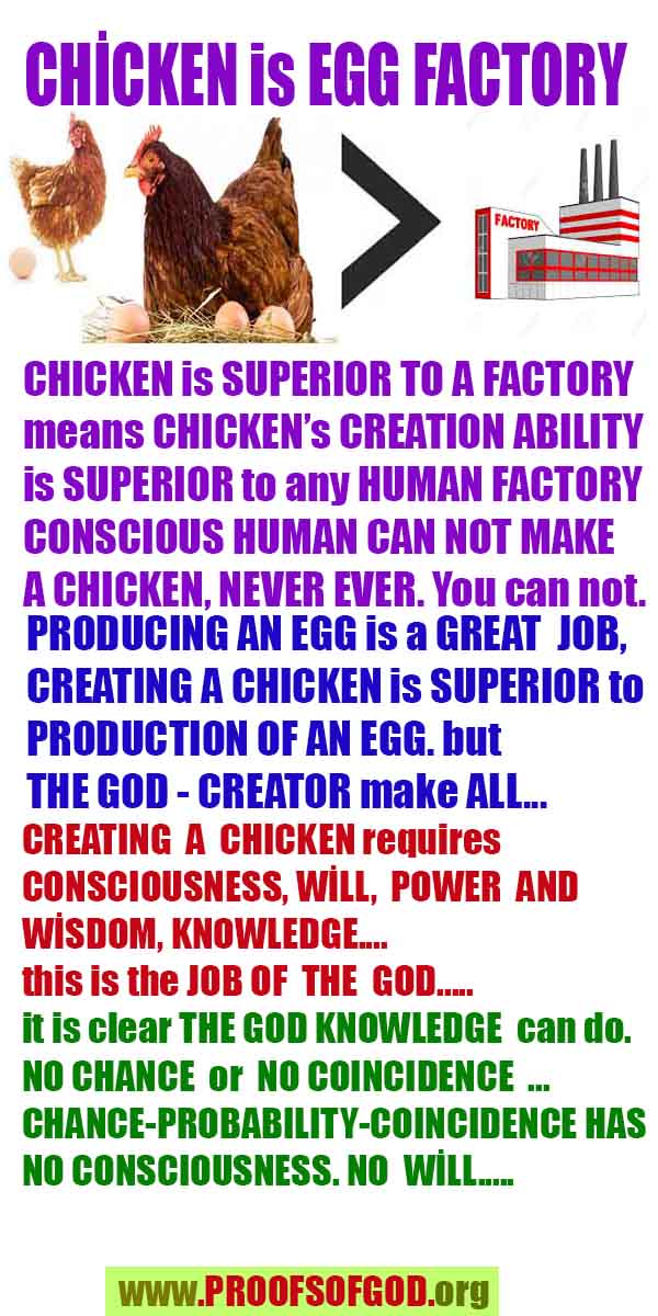 proofs of god, evidences of god, proofs-god, evidences-god, signs-god, signs of god, what are proofs of god?, god exists here proofs, god is real here proofs