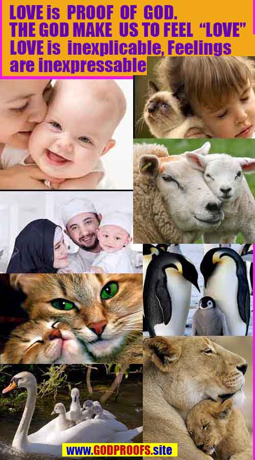 proofs of god, evidences of god, proofs-god, evidences-god, signs-god, signs of god, what are proofs of god?, god exists here proofs, god is real here proofs
